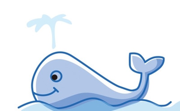 Simple drawing animation tutorial of whale