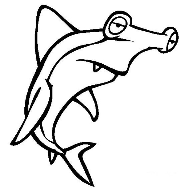 Marine Life Pictures Axhead Shark Simple Drawing Pictures