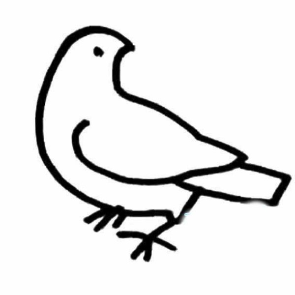 Primary school students learn how to draw pigeons in simple strokes