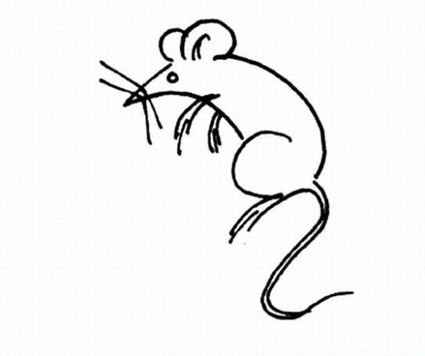 Beautiful little mouse simple strokes