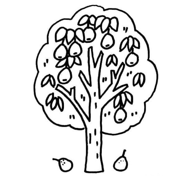 Cartoon Pear Tree Simple Drawing Picture