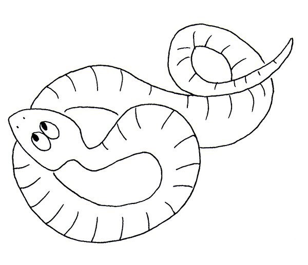 A selection of simple drawing pictures about snakes