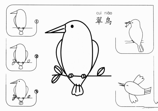 How to draw a kingfisher