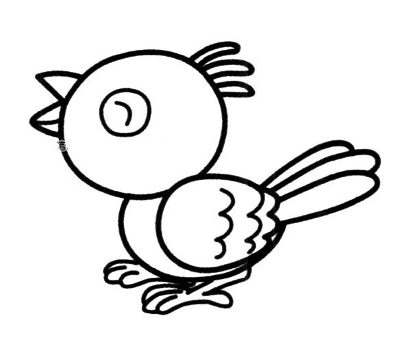 Cute cartoon bird simple drawing picture