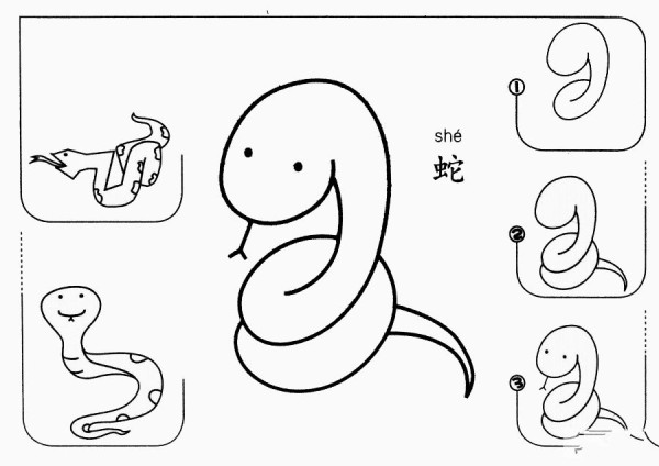 How to draw a snake