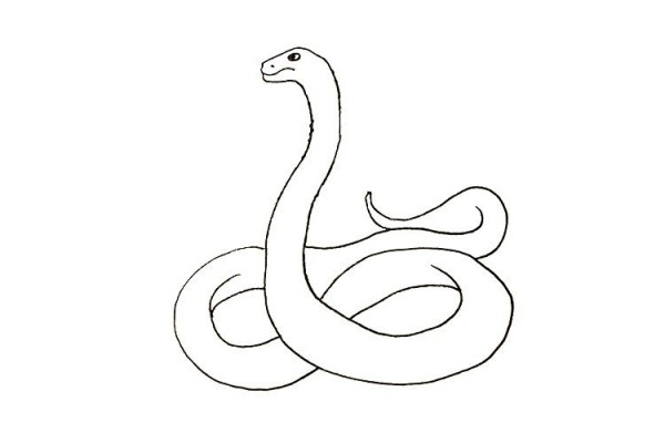 How to draw a scary cobra in 7 steps