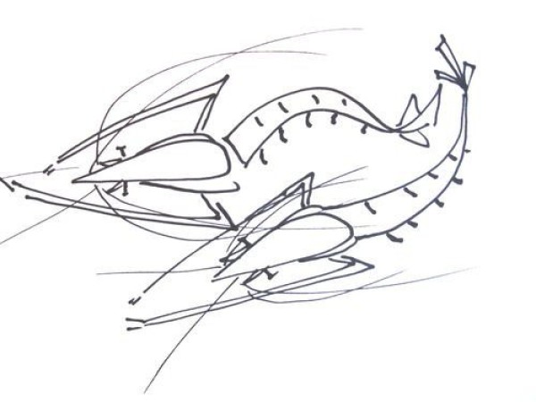 About the simple drawing method of shrimp