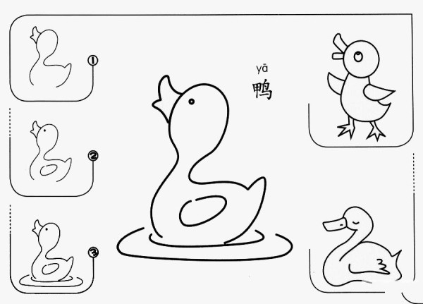 How to draw a duck