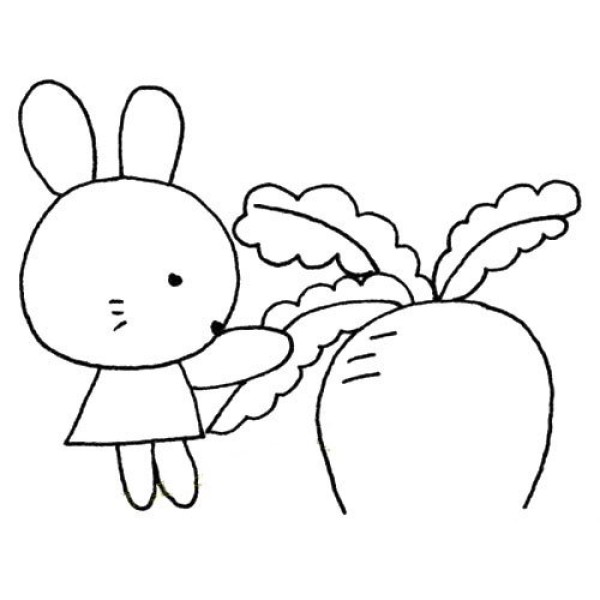 Little white rabbit pulling carrots