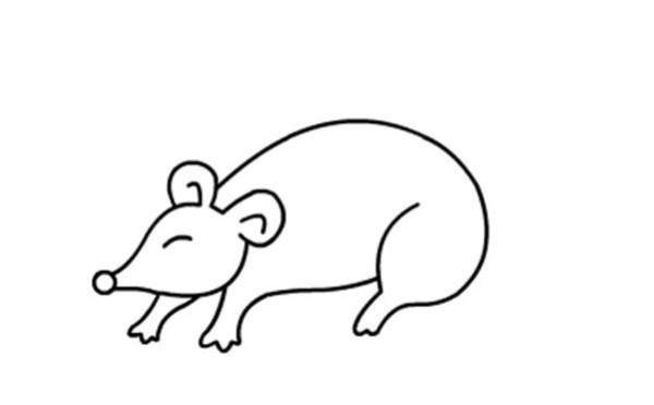 Childrens simple drawings of animals, mice