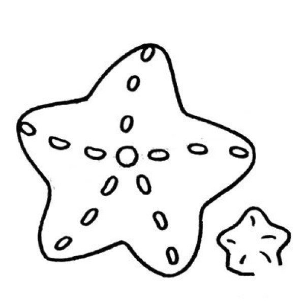 Elementary simple drawing starfish