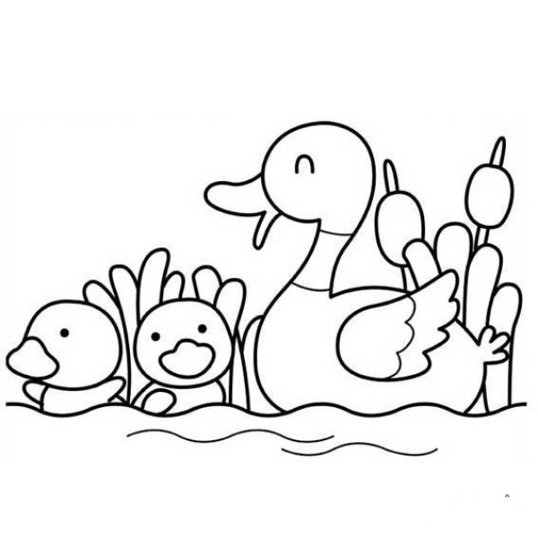 Simple drawing of mother duck and ducklings