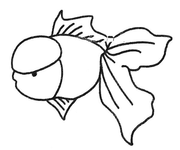 A set of beautiful simple drawing pictures of guppies