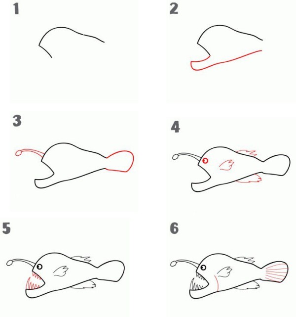 How to draw angler fish in simple strokes