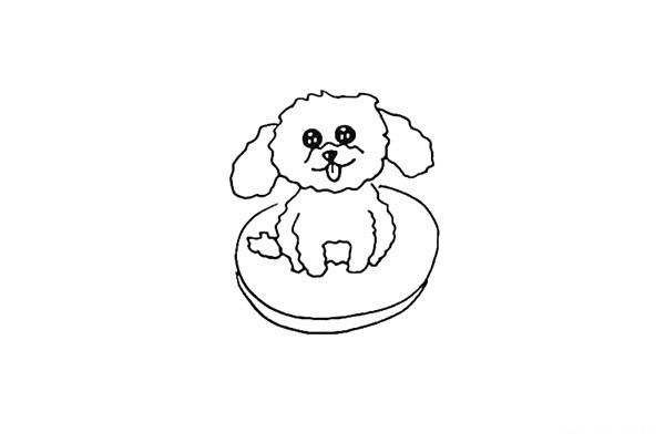 How to draw a teddy dog