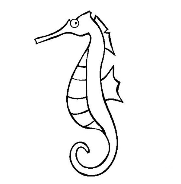 Marine life pictures Seahorse simple drawing pictures