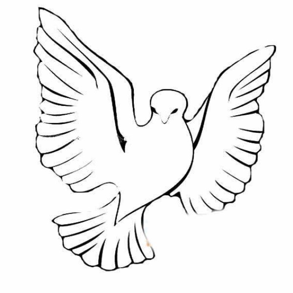 National Day Peace Dove Simple Drawing