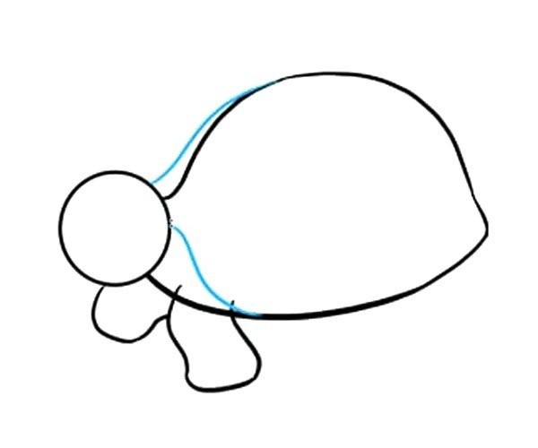 Simple steps to draw a turtle