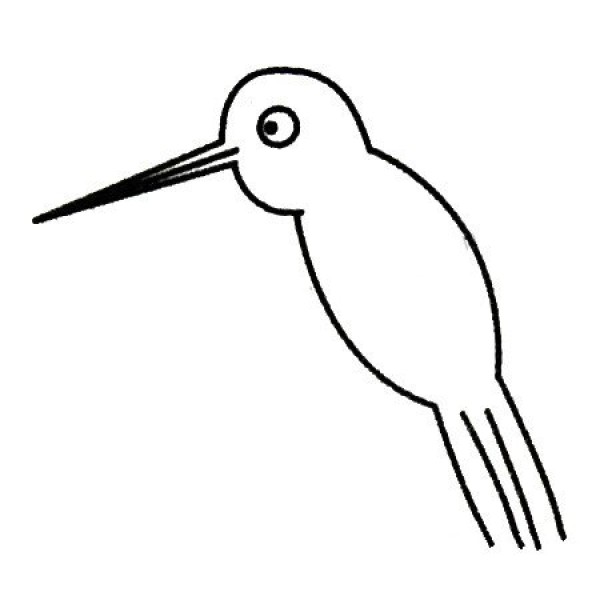 Complete collection of simple drawings of hummingbirds and drawing steps