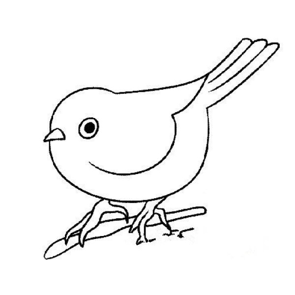 Learn simple bird drawing pictures