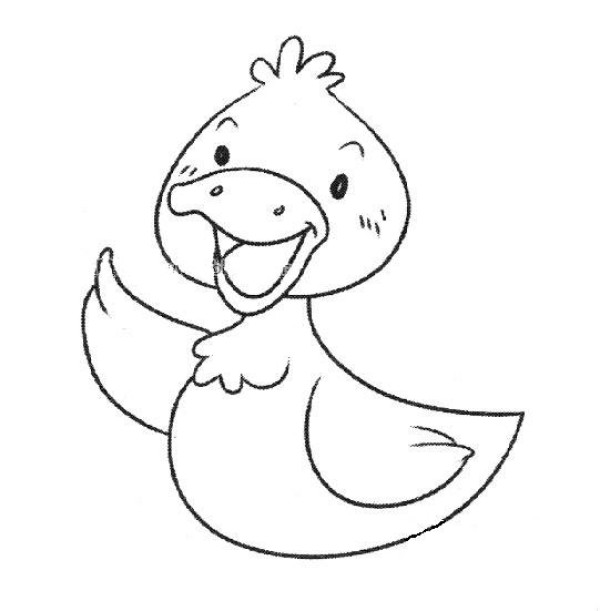 A set of simple drawing pictures of cartoon ducks