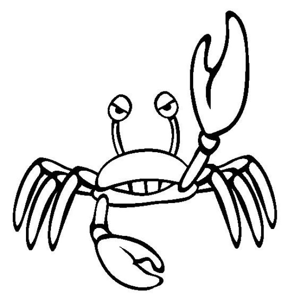 Marine life pictures Crab simple drawing pictures