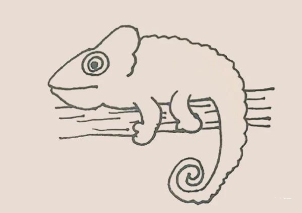 Simple drawing of chameleon