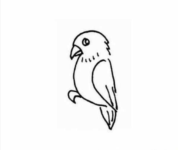 A complete collection of simple strokes of parrots