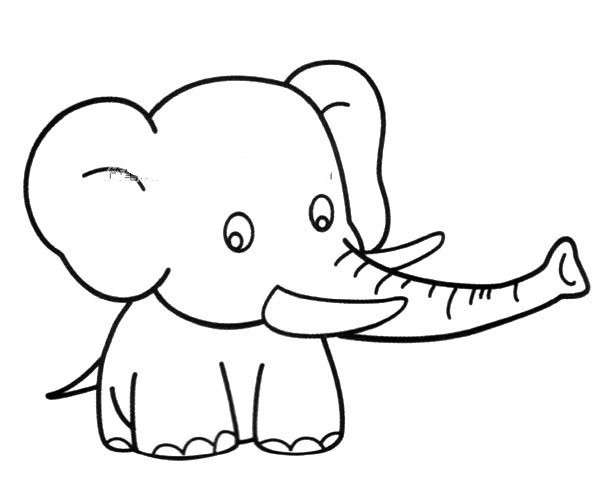 Cute baby elephant simple drawing picture