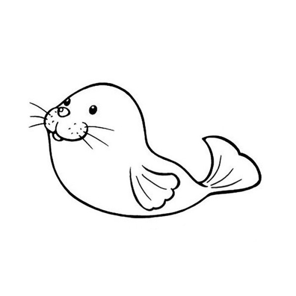 Cute sea lion simple strokes