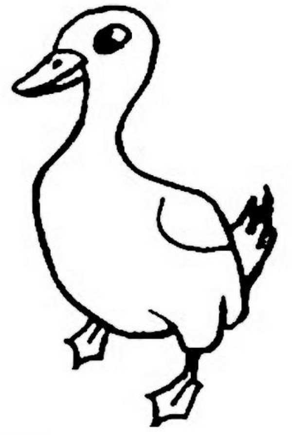 Simple duck drawing