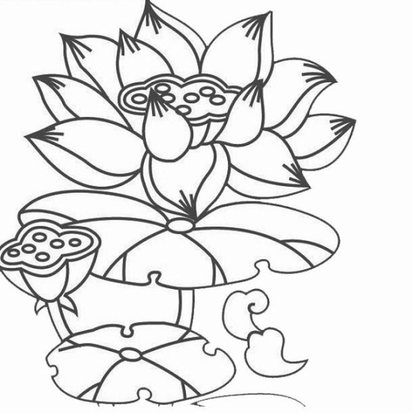 Cartoon Lotus Lotus Pendant Simple Drawing