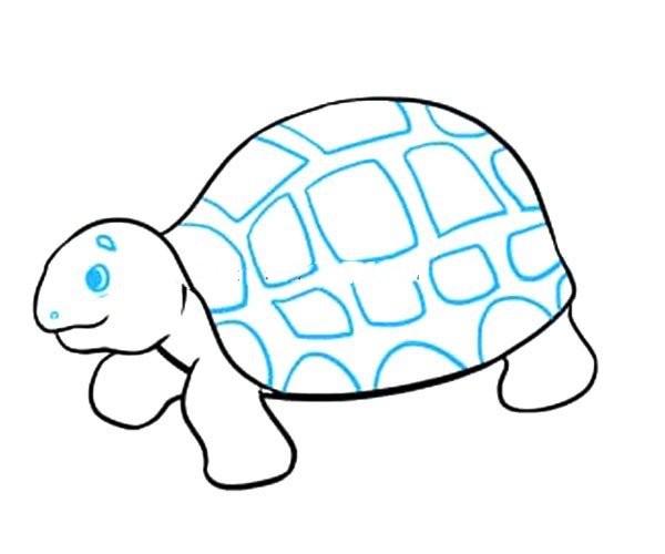 Simple steps to draw a turtle