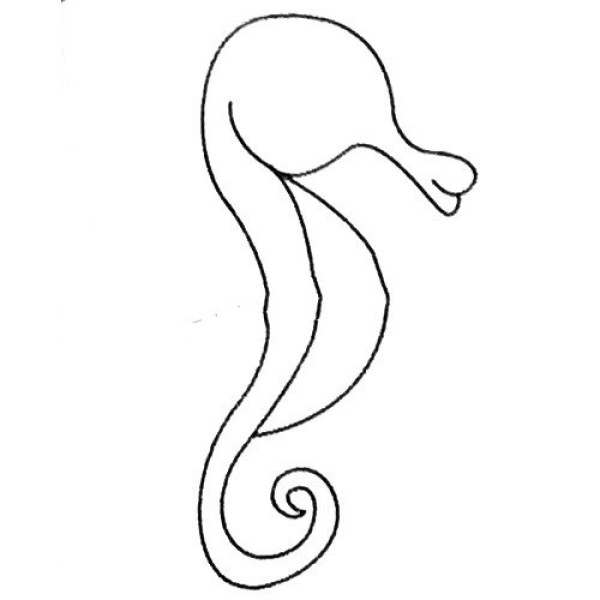 Complete collection of seahorse simple strokes and drawing steps