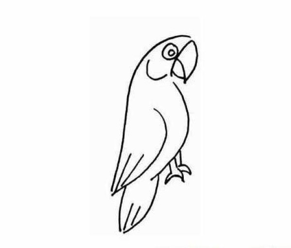 A complete collection of simple strokes of parrots