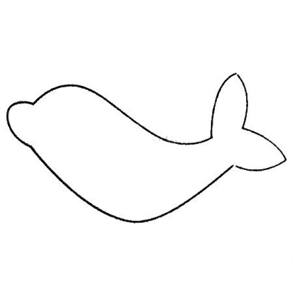 Complete collection of dolphin simple strokes and drawing steps