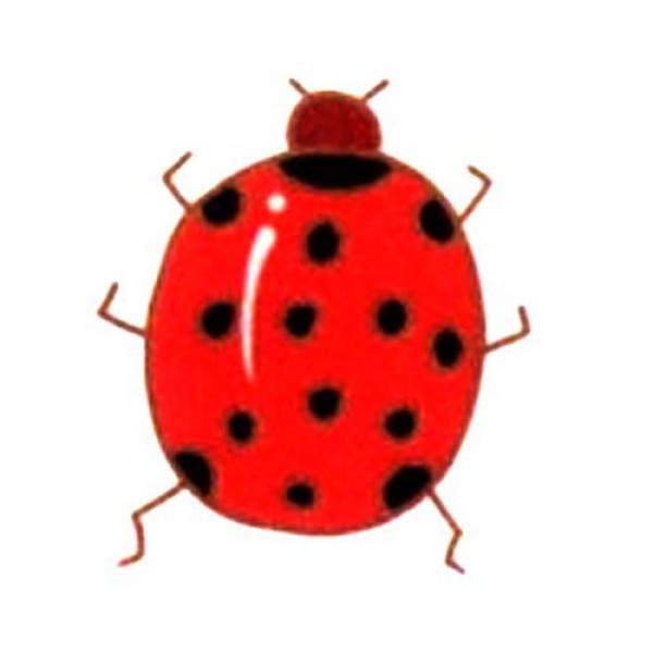 Cute ladybug simple drawing tutorial