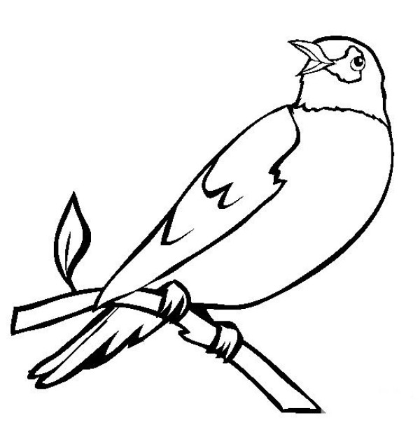 Simple drawing of a bird Simple drawing of a robin