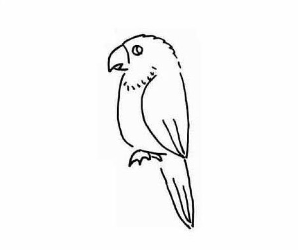 A complete collection of simple strokes of parrots