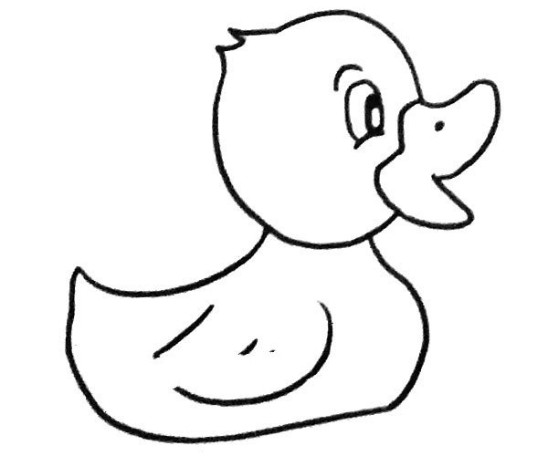 A set of cute cartoon little duck simple drawing pictures