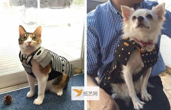 Use samurai armor to turn silly cats and dogs into handsome samurai adults