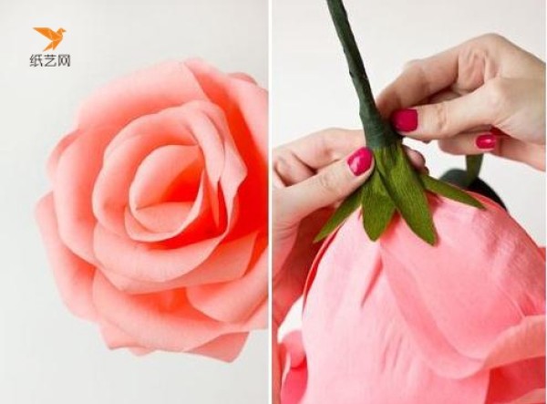 Tutorial on how to make paper roses, a must-have decorative flower for photos