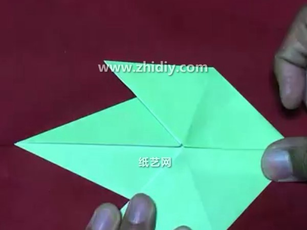 Origami video tutorial for simple origami parrot