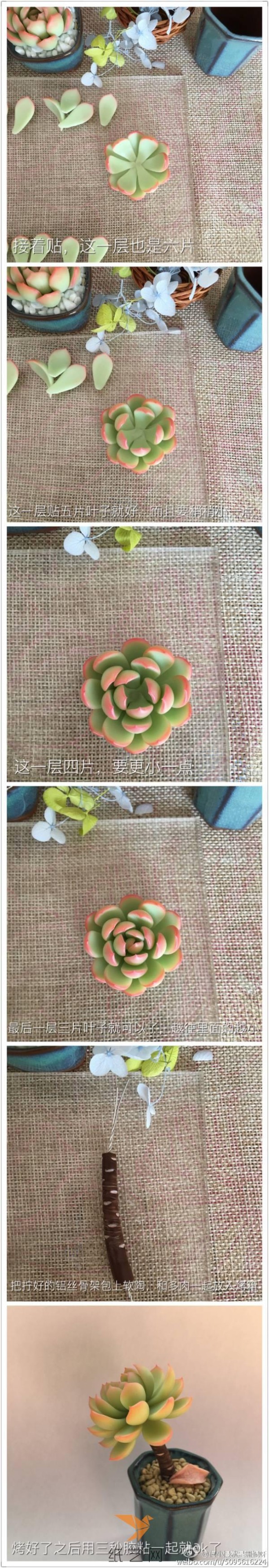 He Xiaoman’s succulent clay tutorial is here! ! !