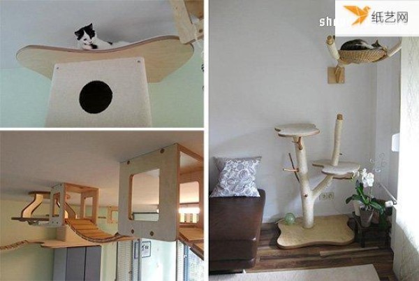 The unique cat climbing frame that makes cats and cats happy like an aerial paradise