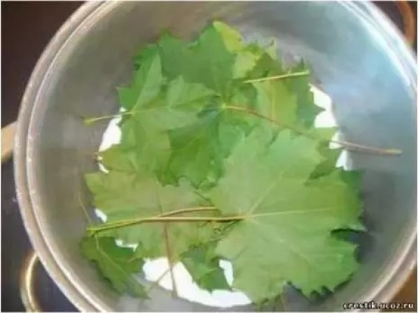 Simple leaf bookmark tutorial is here! Tips for turning waste into treasure!