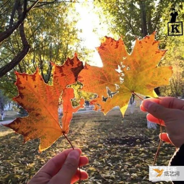 Appreciation of pictures of exquisite handmade leaf cutting scrolls