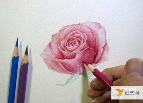 Share a step-by-step tutorial on how to draw roses with colored pencils