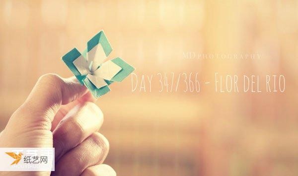 366 days of continuous origami. Let’s take a look at the origami works of an American.