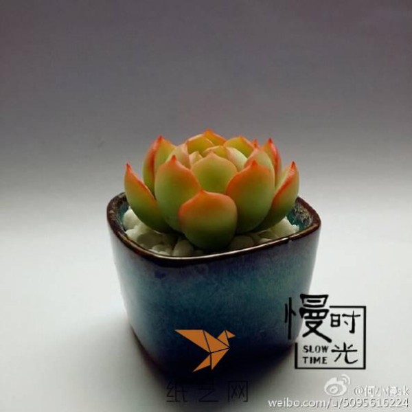 He Xiaoman’s classic succulent Raul tutorial